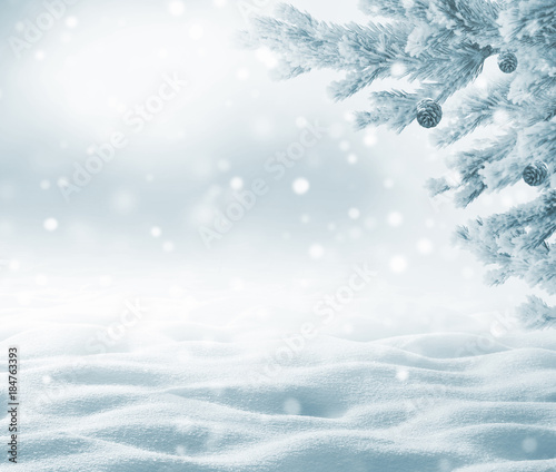 Winter background with snowdrifts for greeting card.  Christmas landscape with snowdrifts and pine branches in the frost. © Leonid Ikan