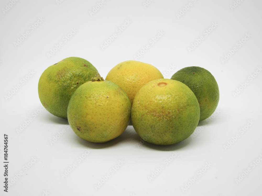 lemon lime isolated on white background lemon lime isolated on white background