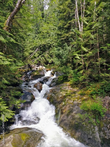 Pacific Northwest waterfall