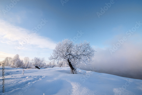 Snowy frozen landscape of sunrise on lakeside with trees 