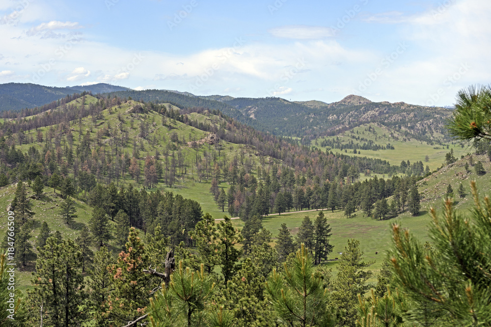 Naklejka premium Black Hills Panorama in Summer