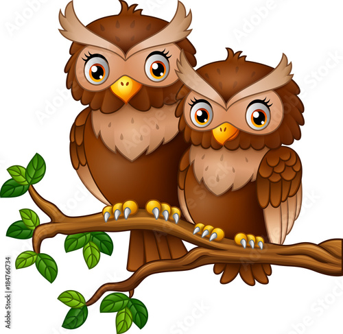 Cute couple owl on the tree branch