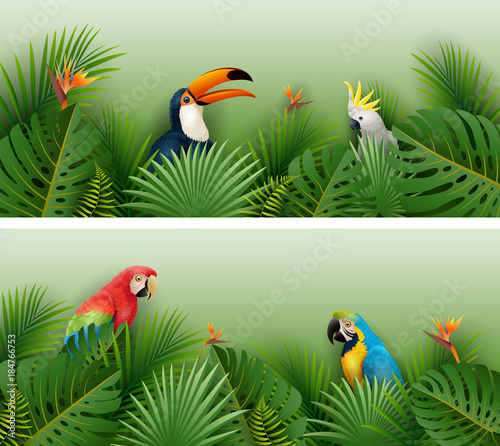 Tropical plants leaves banner with birds