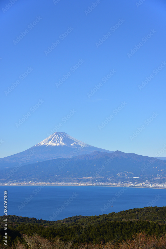 達磨山からの富士山