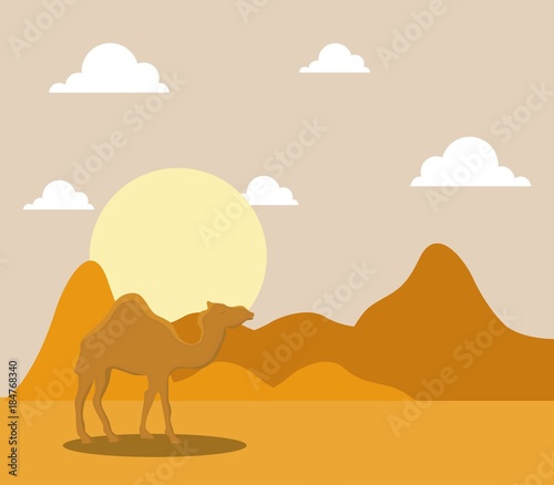 landscape of dry desert with camels 