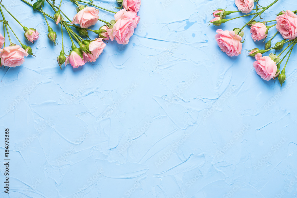 Border from pink roses flowers on light blue textured background. Stock  Photo | Adobe Stock