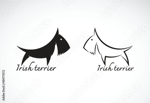 Vector of irish terrier dog esign on white background. Symbol. Animals. Dog Icon.