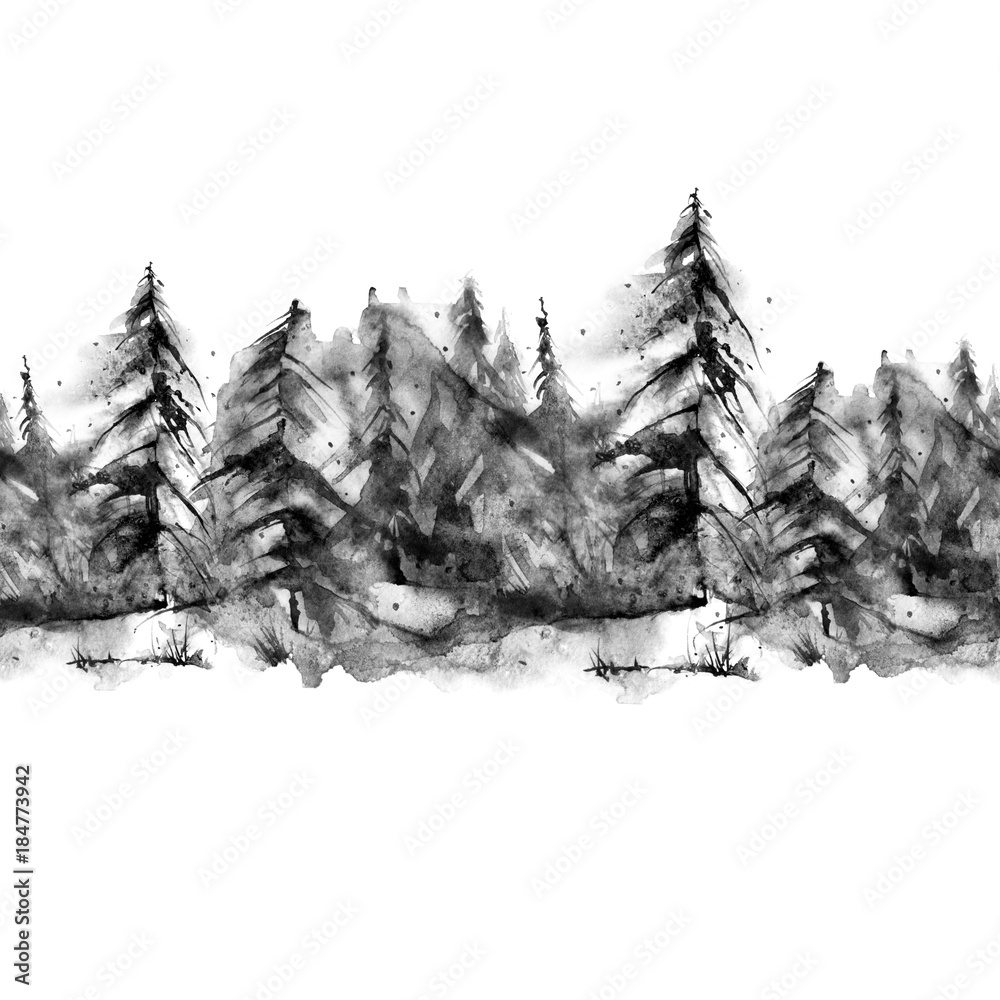 Obraz Akwarela liniowy wzór, granica. czarna sylwetka świerk, sosna, cedr, modrzew, las abstrakcyjny, sylwetka drzew. Na białym tle odizolowane ..