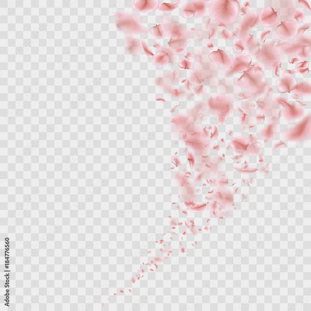 Sakura flying downwind petals on wind isolated. EPS 10 vector Sakura flying downwind petals on wind isolated. EPS 10 vector
