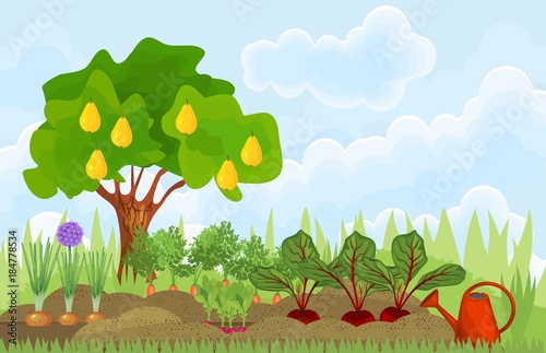 Kitchen garden or vegetable garden with different vegetables and fruit tree. Garden in the summer