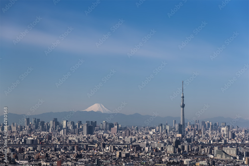 Fototapeta premium Tokyo city view , Tokyo sky tree with Tokyo downtown building and Winter Mountain fuji in background