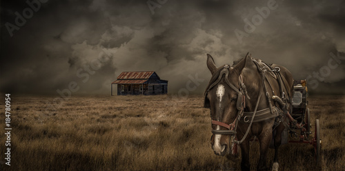 Photoshopped image of an abandoned farm with a horse and cart