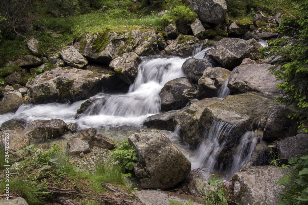 Wild water, stream Maly studeny potok in High Tatras, summer touristic season, wild nature Wild water, stream Maly studeny potok in High Tatras, summer touristic season, wild nature