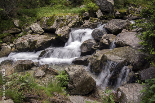 Wild water  stream Maly studeny potok in High Tatras  summer touristic season  wild nature