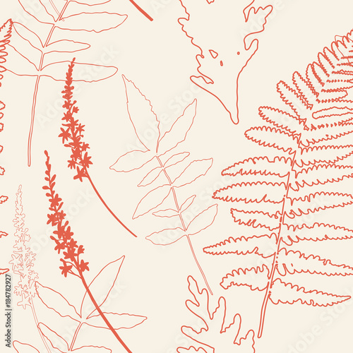 Floral vector seamless pattern with wild flowers, fern leaves and evergreen p...