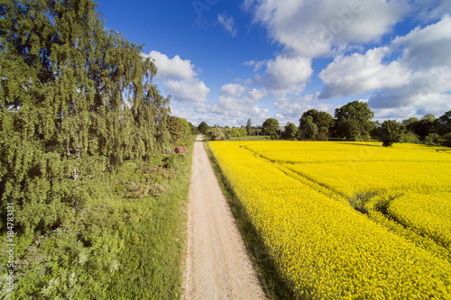Summer time in latvian countryside.