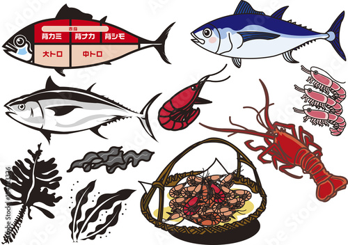 魚介類7