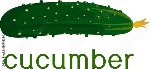 Fresh green cucumber with title on white background