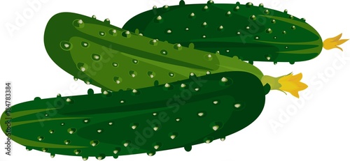 Fresh green cucumbers on white background