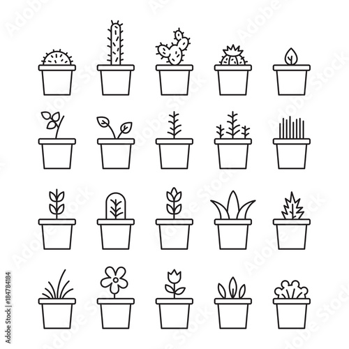 Set floral plants and blooming cactus in pots isolated on white background