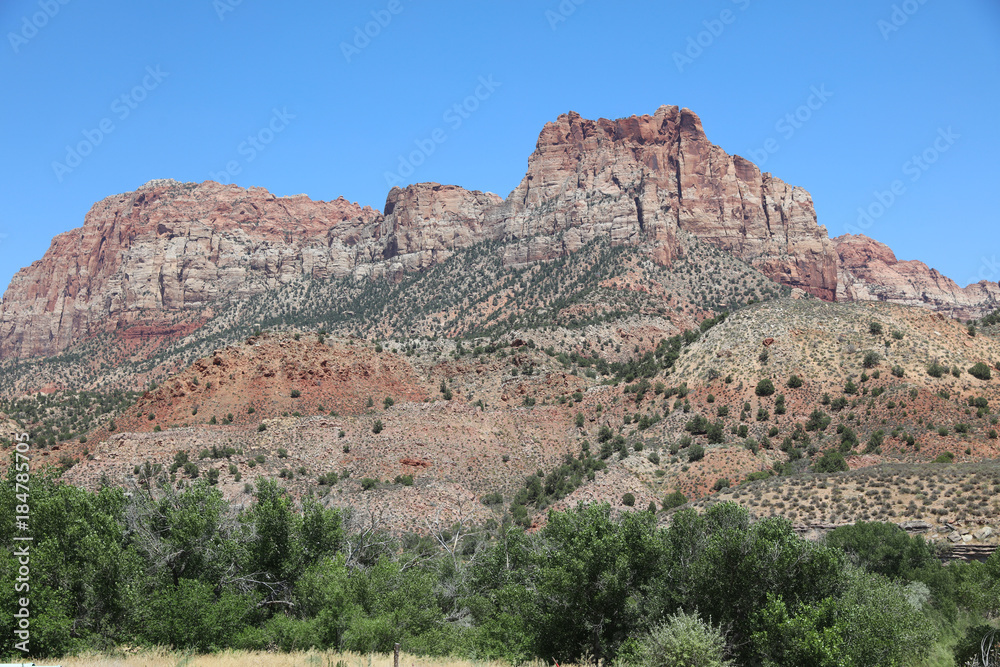 Landscape in Zion National Park. Utah. USA
