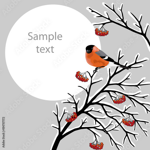Card with birds on tree twigs. Pastel color gamut, winter narural decor. Vector illustration.