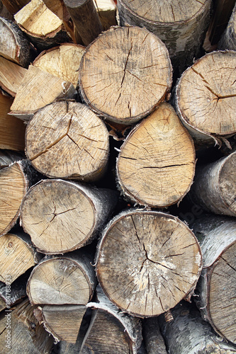 Fototapeta Naklejka Na Ścianę i Meble -  Wooden birch logs stacked in woodpile, texture