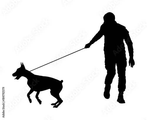 Owner keeps the Doberman pincher champion dog on the leash, vector silhouette illustration isolated. Dog show exhibition. Finder detects explosives and drugs. Rescue activity dog for finding survive. 