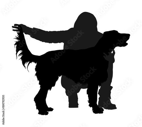 Owner girl  keeps the Golden Retriever dog on the stage. Irish red Setter champion vector silhouette illustration isolated. Dog show exhibition.