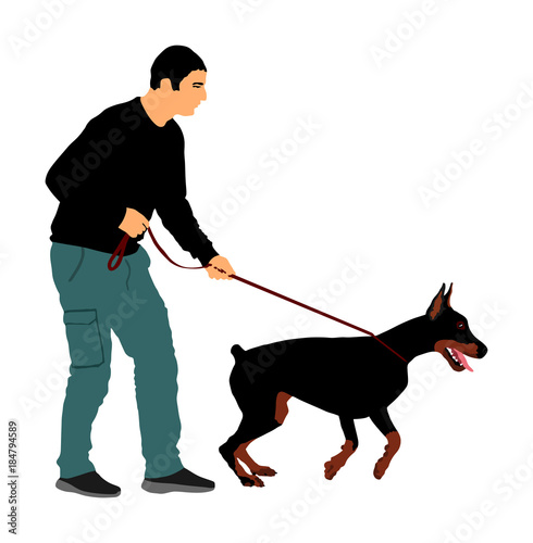 Owner man keeps on the leash Doberman pincher champion dog on the stage, vector illustration isolated. Dog show exhibition. Finder detects explosive and drugs. Rescue activity dog for finding survive
