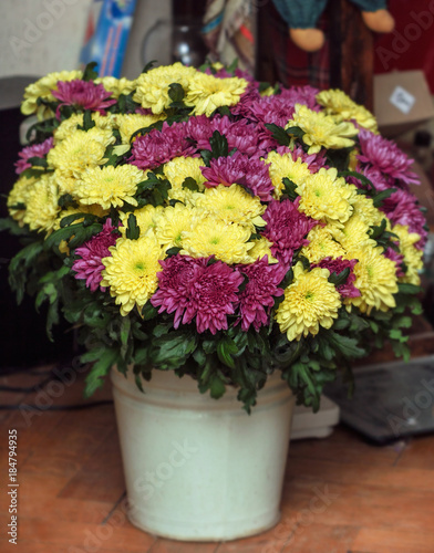 Bouquet of chrysanthemums in bucket