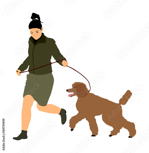 Owner keeps the Royal French Poodle dog on the leash. Girl running with champion dog on the stage vector illustration isolated. Dog show exhibition. 