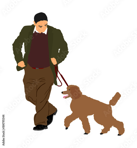 Owner keeps the Royal French Poodle dog on the leash. Running champion dog on the stage vector illustration isolated. Dog show exhibition. 
