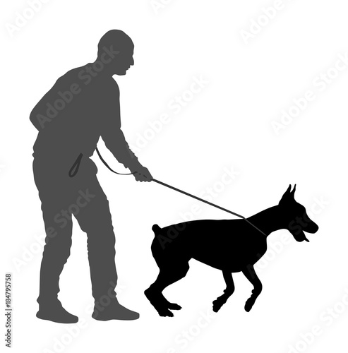 Owner keeps the Doberman pincher champion dog on the leash, vector silhouette illustration isolated. Dog show exhibition. Finder detects explosives and drugs. Rescue activity dog for finding survive. 