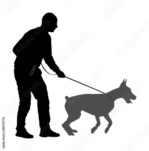 Owner keeps the Doberman pincher champion dog on the leash, vector silhouette illustration isolated. Dog show exhibition. Finder detects explosives and drugs. Rescue activity dog for finding survive. 
