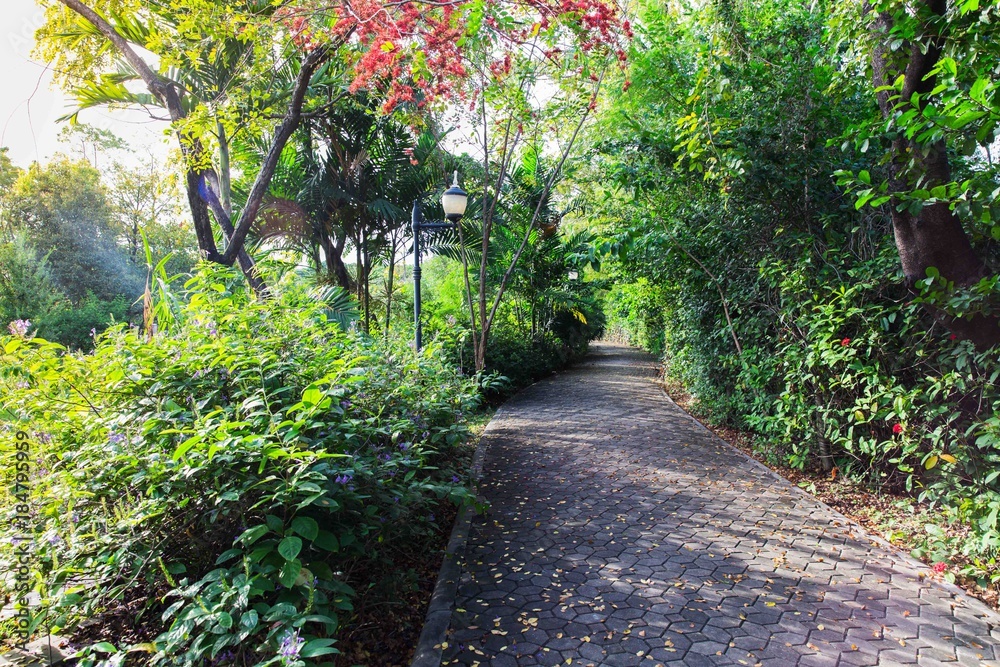 Walkway on green grassy