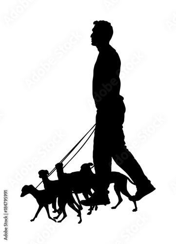 Walking the pack, array of dogs. Dog walking service vector silhouette illustration isolated on white background. Group of pets in friendly outdoor area. Park pet activity.