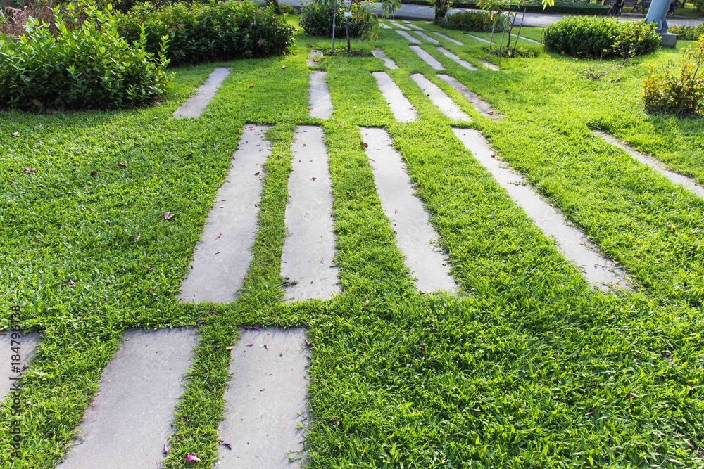 Walkway on green grassy