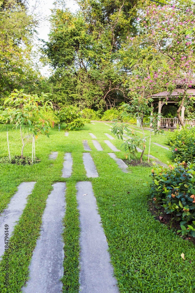 Walkway on green grassy