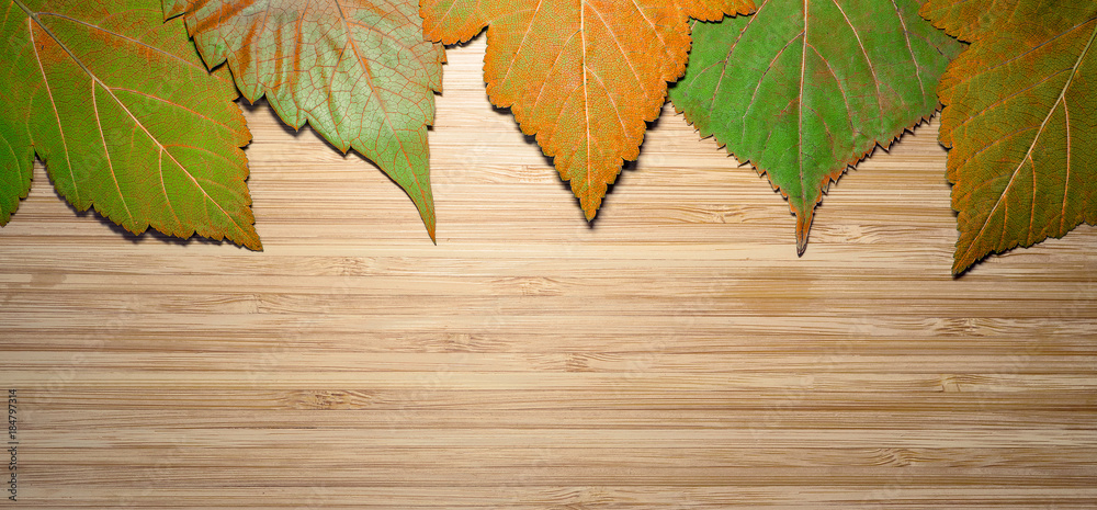 Colored autumn leaves lie on a wooden background.