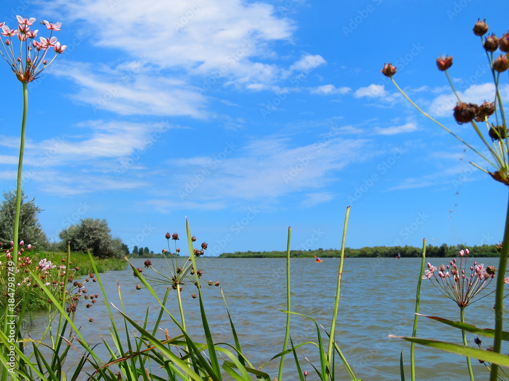 View of the Danube river and blue sky through the grass