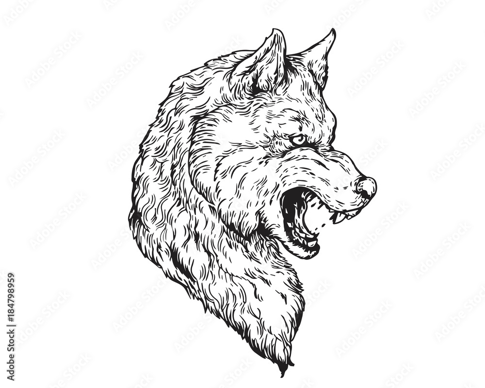 Draw an Angry Wolf, Angry Wolf, Step by Step, Drawing Sheets ... - ClipArt  Best - ClipArt Best