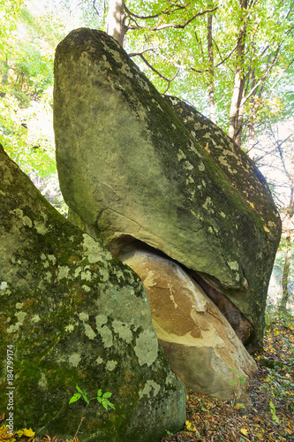 huge dolmen rock in a sunlit forest