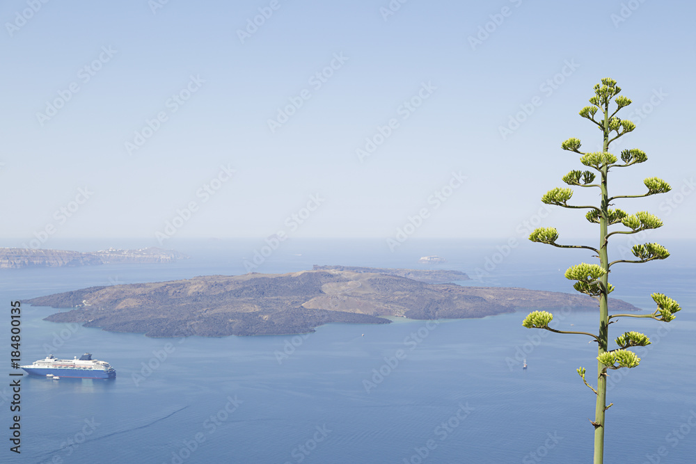 Landscape with aegean sea view. Cruise liner at the sea near the islands.Agave plant flower at the foreground. Santorini island, Greece Landscape with aegean sea view. Cruise liner at the sea near the islands.Agave plant flower at the foreground. Santorini island, Greece