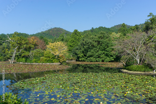 Beautiful park in Japan