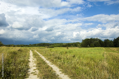 Road through a wild meadow  copse and storm clouds