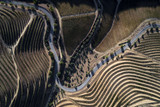 Aerial view of a winding road along the vineyards in the hills of the douro valley; Concept for travel in Portugal and in the Douro Valley