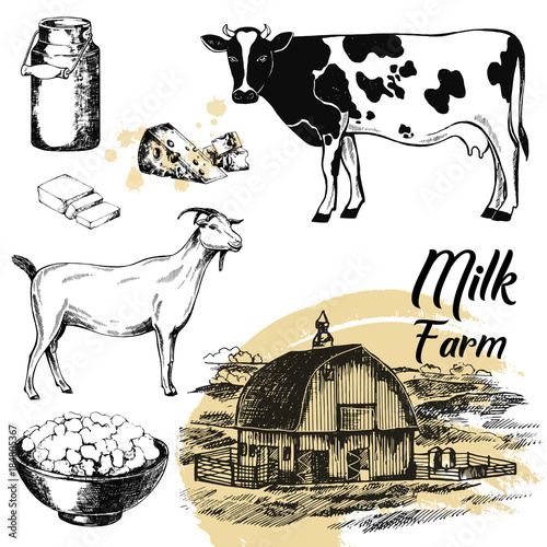 Set of hand drawn sketch style milk farm related objects. Vector illustration isolated on white background.