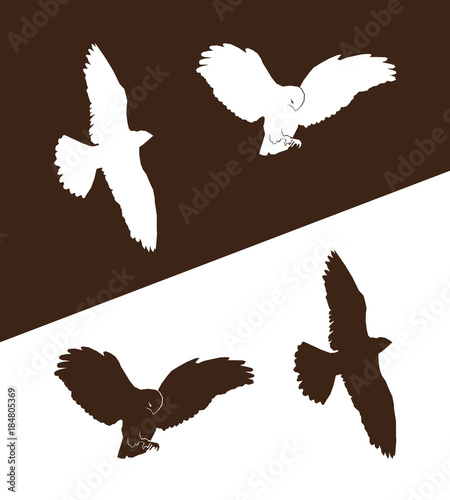 Figures of flying birds of prey