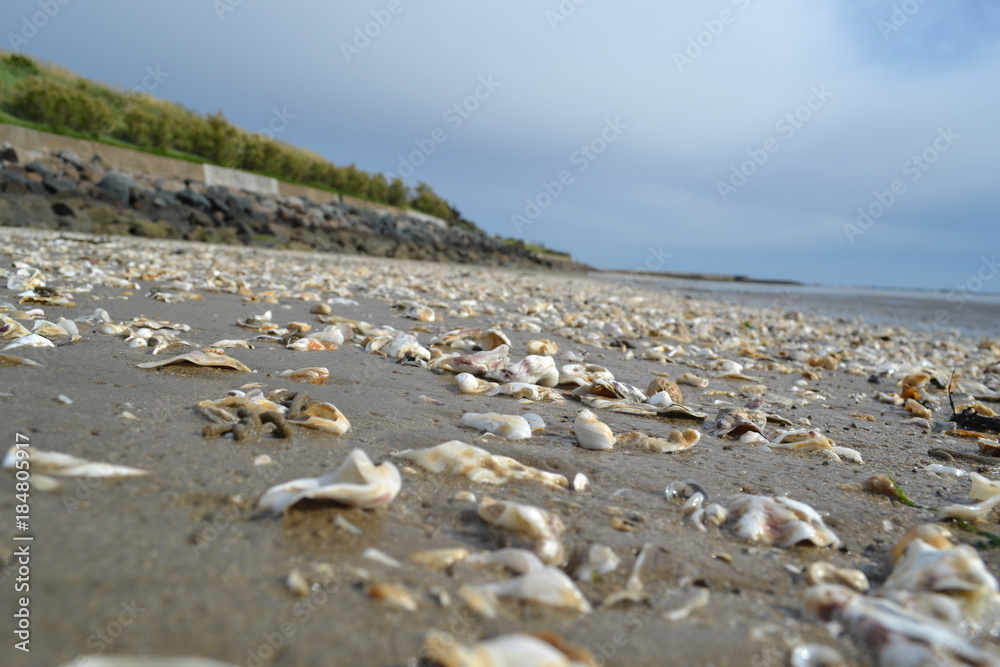 Beach sea Water Beach sea Water